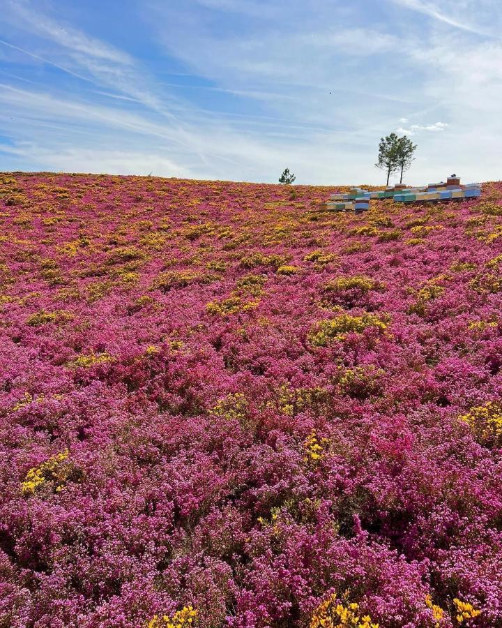 Апартаменты O Refugio Do Mineiro Арока Экстерьер фото
